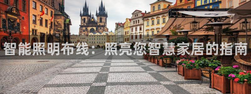 云顶集团有限公司简介电话