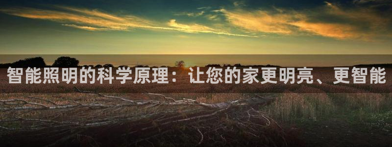 云顶手游国际服账号