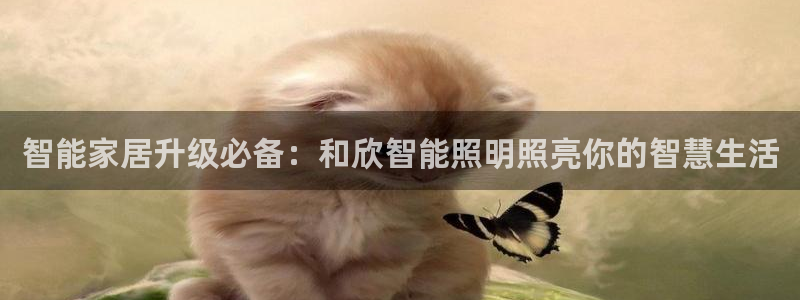 云顶国际装饰设计招聘