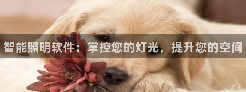 云顶集团专属APP