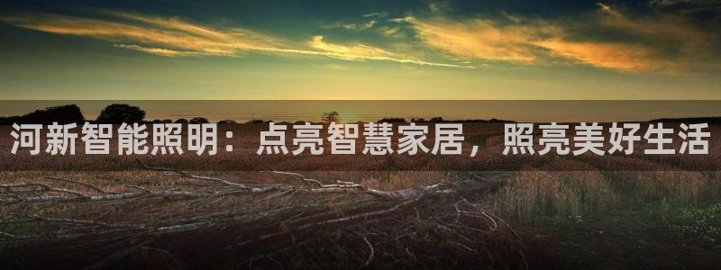 云顶集团网站多少