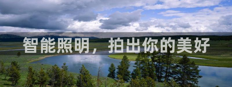 云顶国际物流有限公司