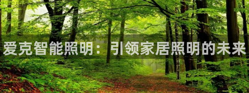 云顶集团董事长林东简历