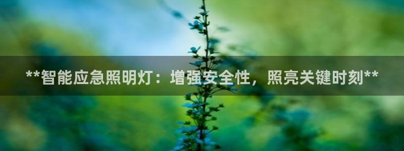云顶国际club