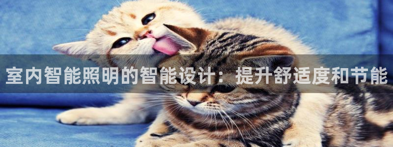 云顶国际注册存款