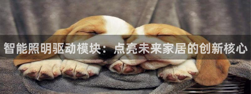 云顶国际黑款
