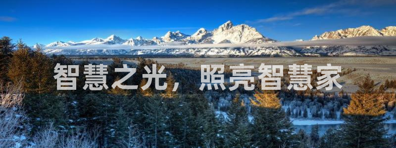 下载云顶国际app