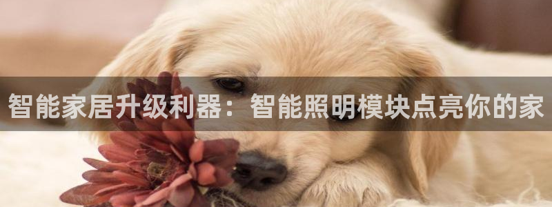 云顶集团3118app