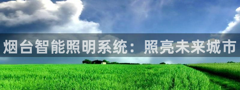 中国云顶集团