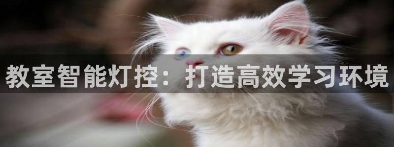 云顶国际yun588