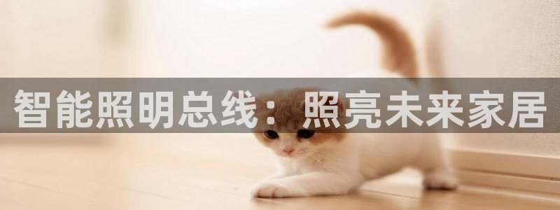 云顶app官网
