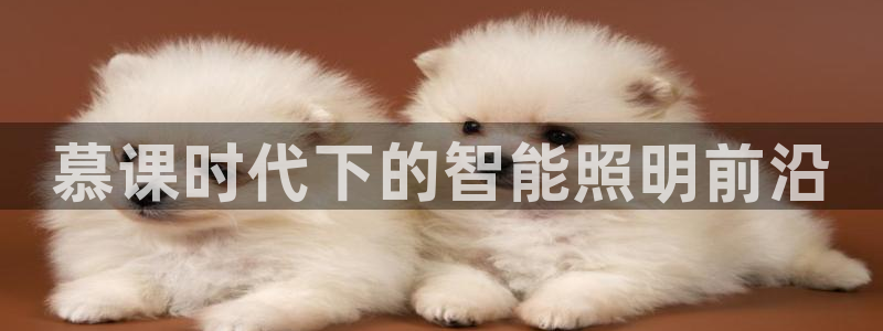 云顶集团app