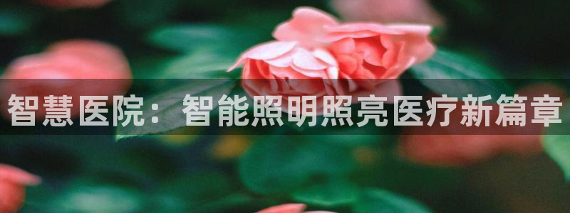 云顶国际KTV