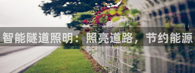 云顶集团公司简介