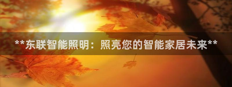 云顶国际集团官网