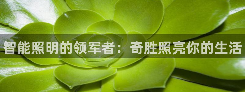 云顶国际游戏网址