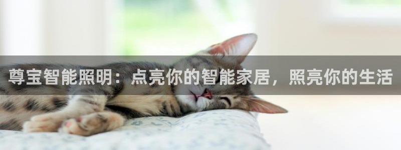 云顶国际大厦