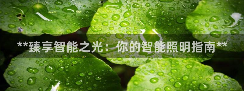 yd2333云顶贵宾会