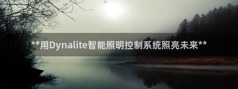 云顶集团公司简介