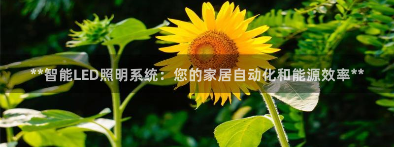 云顶国际公馆是公寓吗多少钱