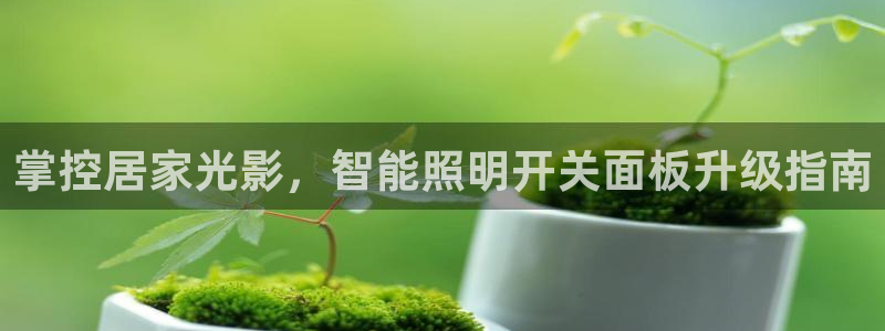云顶国际高中学费多少