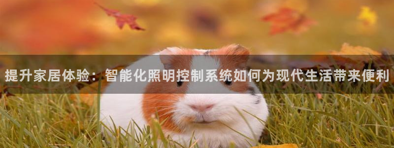 云顶国际公馆怎么样