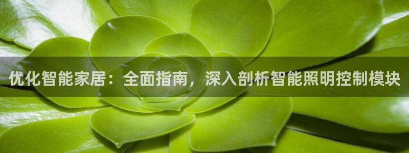 云顶国际提现不到账
