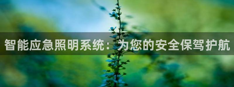 云顶国际怎么才能提现