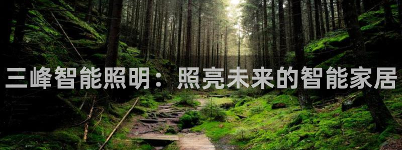 云顶网站官网