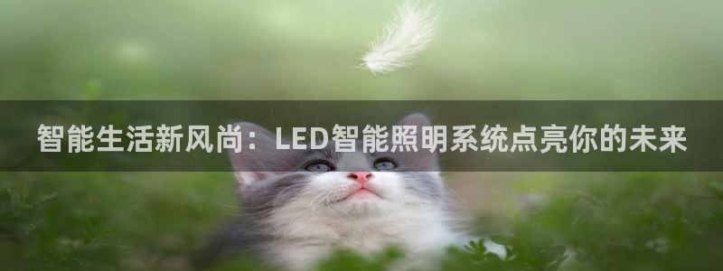 云顶集团有限公司简介图片
