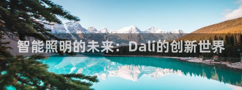 云顶国际物流官网电话