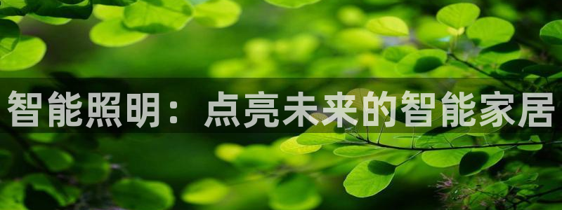 云顶国际app是什么游戏