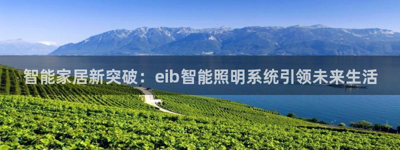 云顶国际服自定义
