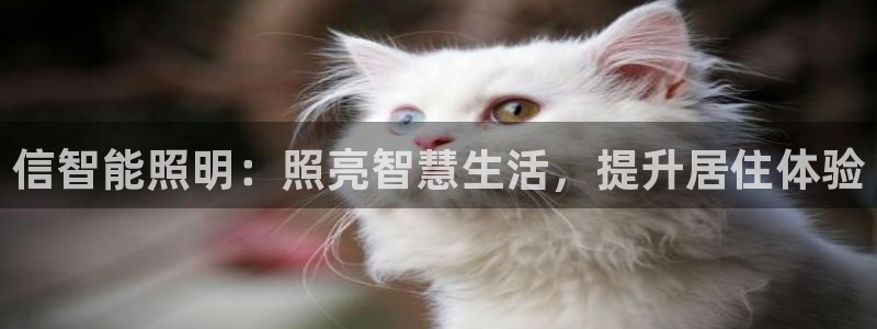 云顶国际酒店几星级的