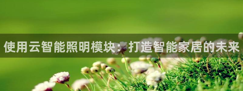 云顶国际游戏平台排行榜