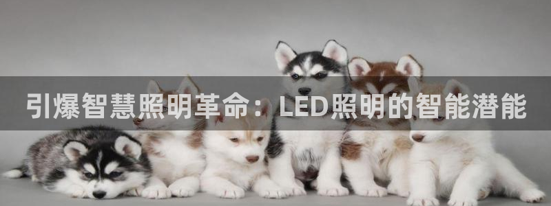 云顶国际游戏