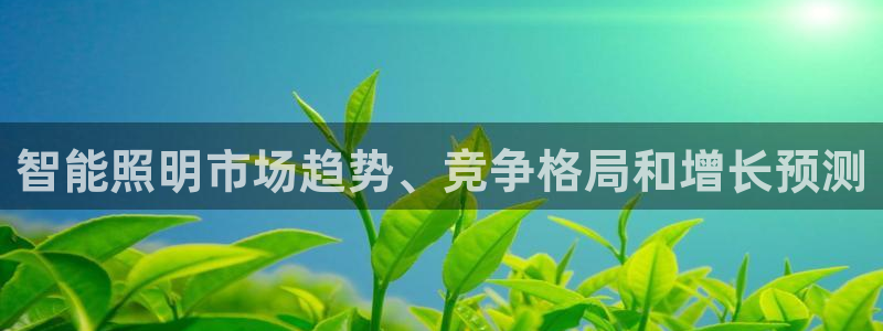 云顶国际投资有限公司