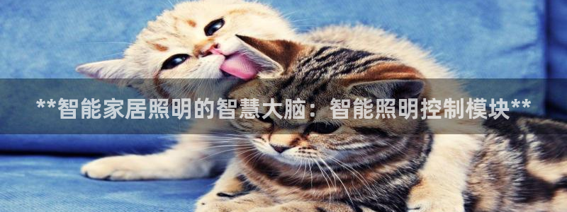 云顶国际在哪