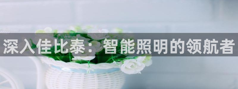 云顶国际物业电话