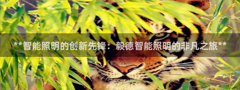 云顶国际前台电话