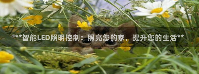 云顶国际25万没法提现
