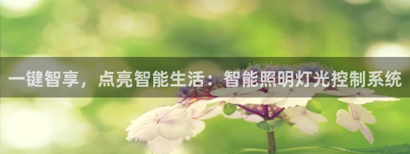 云顶国际app手机版怎么下载