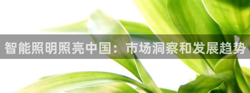 云顶网址攻略