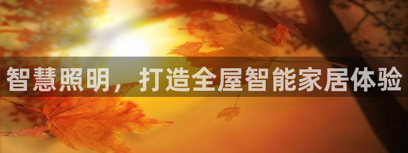 云顶国际公馆在哪个区