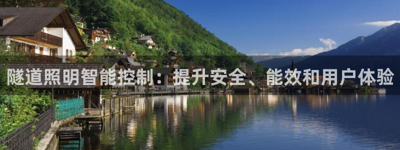 中国云顶控股集团