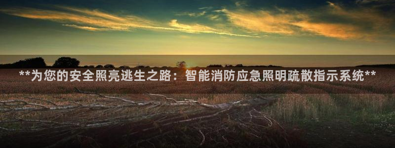云顶平台网址