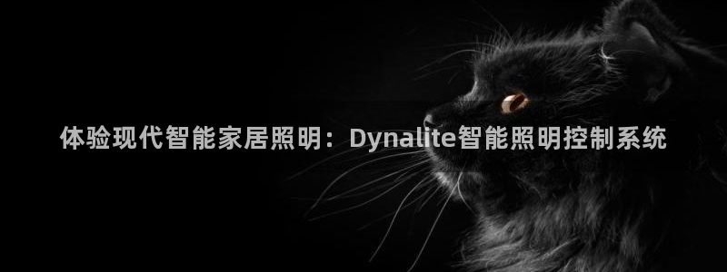 云顶集团有限公司简介图片