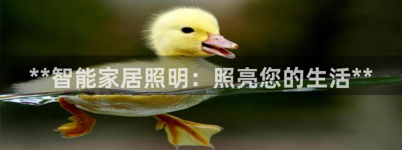 云顶dl