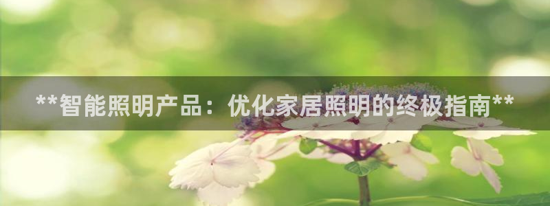 云顶国际投资有限公司怎么样