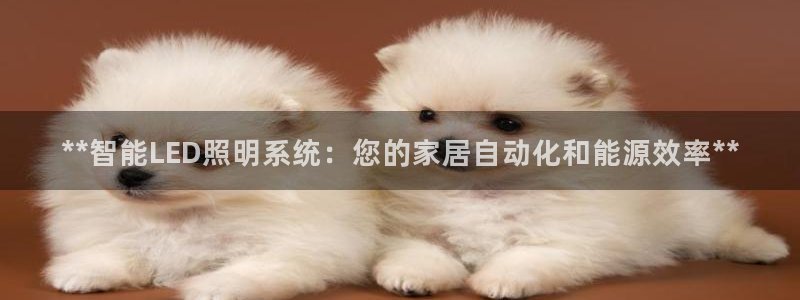 云顶国际足球app下载